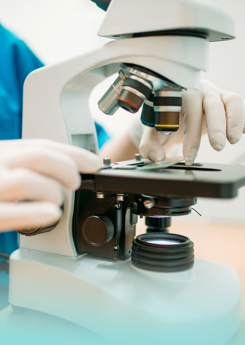 medicina veterinaria
